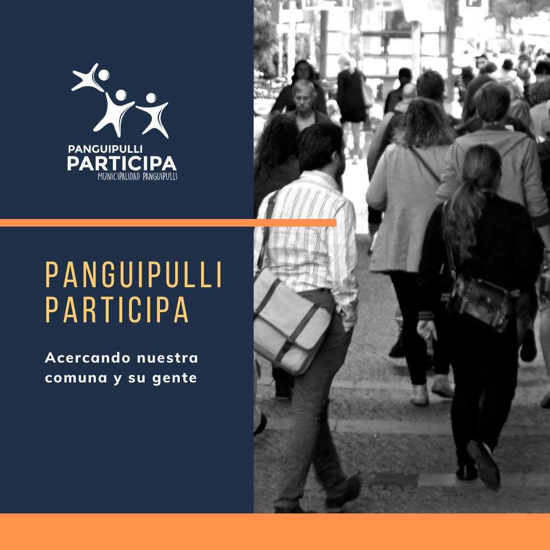 Panguipulli Participa